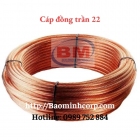 Cáp đồng trần 22mm2