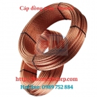 Cáp Đồng Trần 70mm2